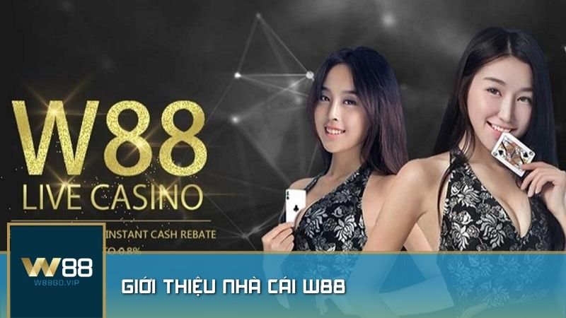 W88 luôn chú trọng đến việc nâng cao chất lượng trải nghiệm của người chơi