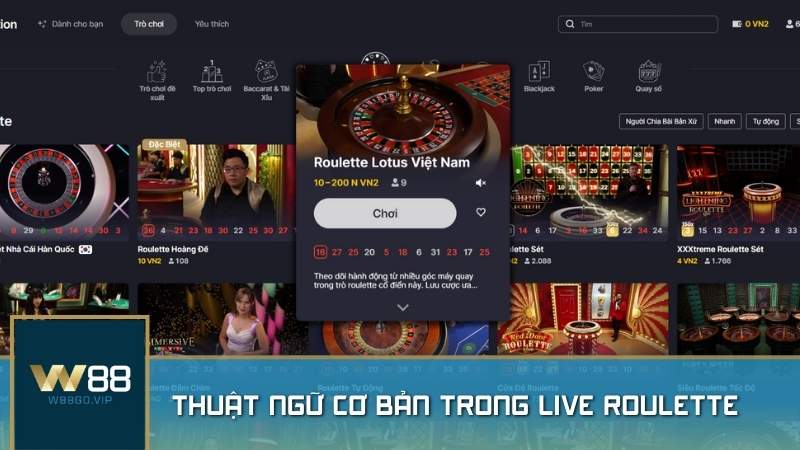 Thuật ngữ cơ bản trong Live Roulette