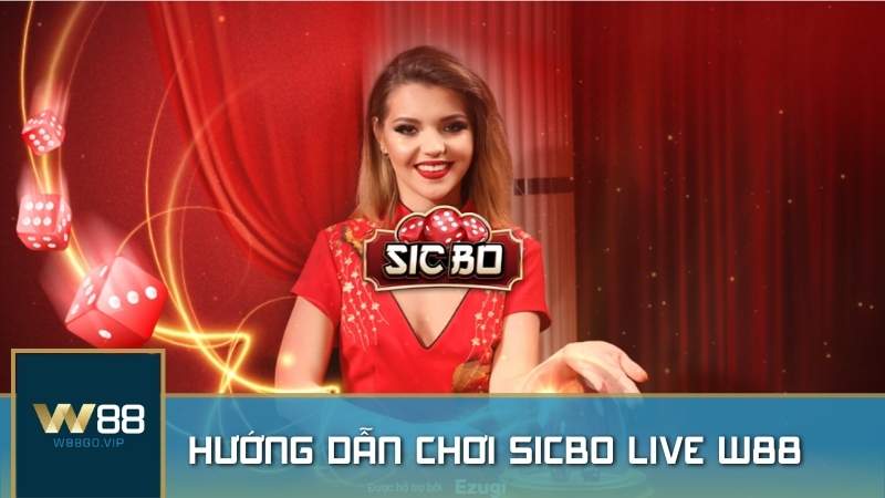 Hướng dẫn cách chơi Sicbo Live Tài Xỉu W88 cho người mới